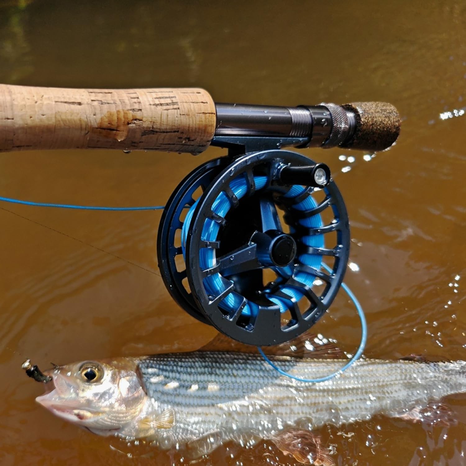 Fly Fishing Reel 5/6wt CNC Aluminum Alloy, UltraLight, Instant Spool Change…