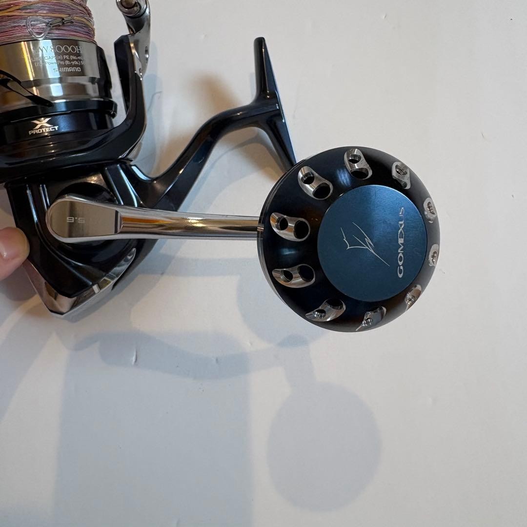 SHIMANO 21 Twin Power SW 8000HG Fishing Reel