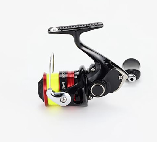 SHIMANO Spinning Reel 19 SIENNA C3000 Spool Diameter 45mm With Nylon #3/150m