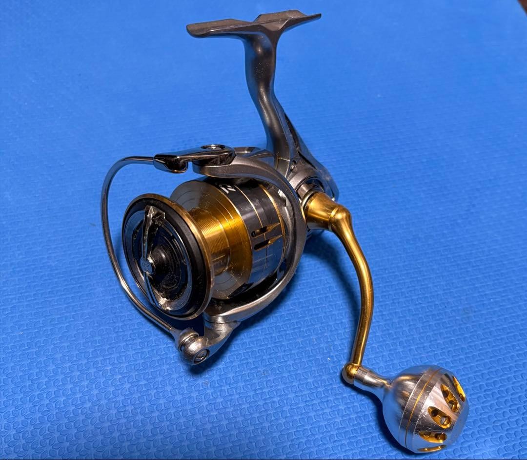 Daiwa Spinning Reel Silver/Gold