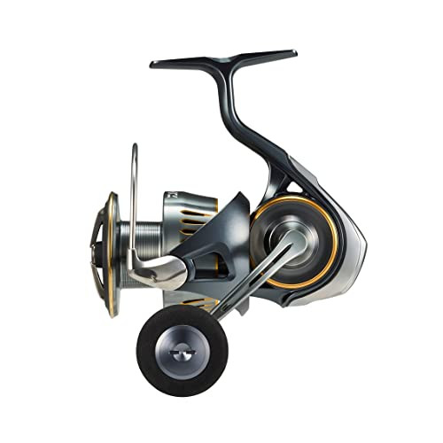 Daiwa LT5000D-CXH Spinning Reel 23AIRITYNEW