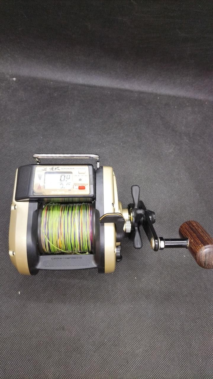 Daiwa Tanasensor Electric Reel Fishing Gear, 50cm/19.7in, Tested, Used