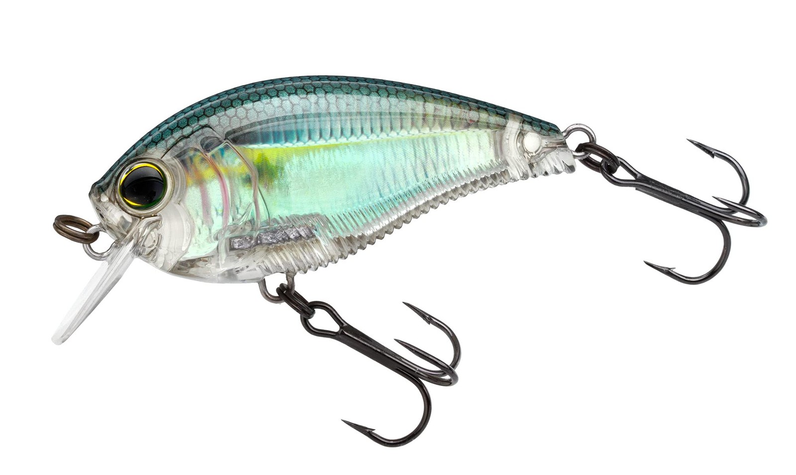 Yo-Zuri R1352-RGZS: 3Db Crank 1.5 Squarebill (F) 2.375, Real Gizzard Shad