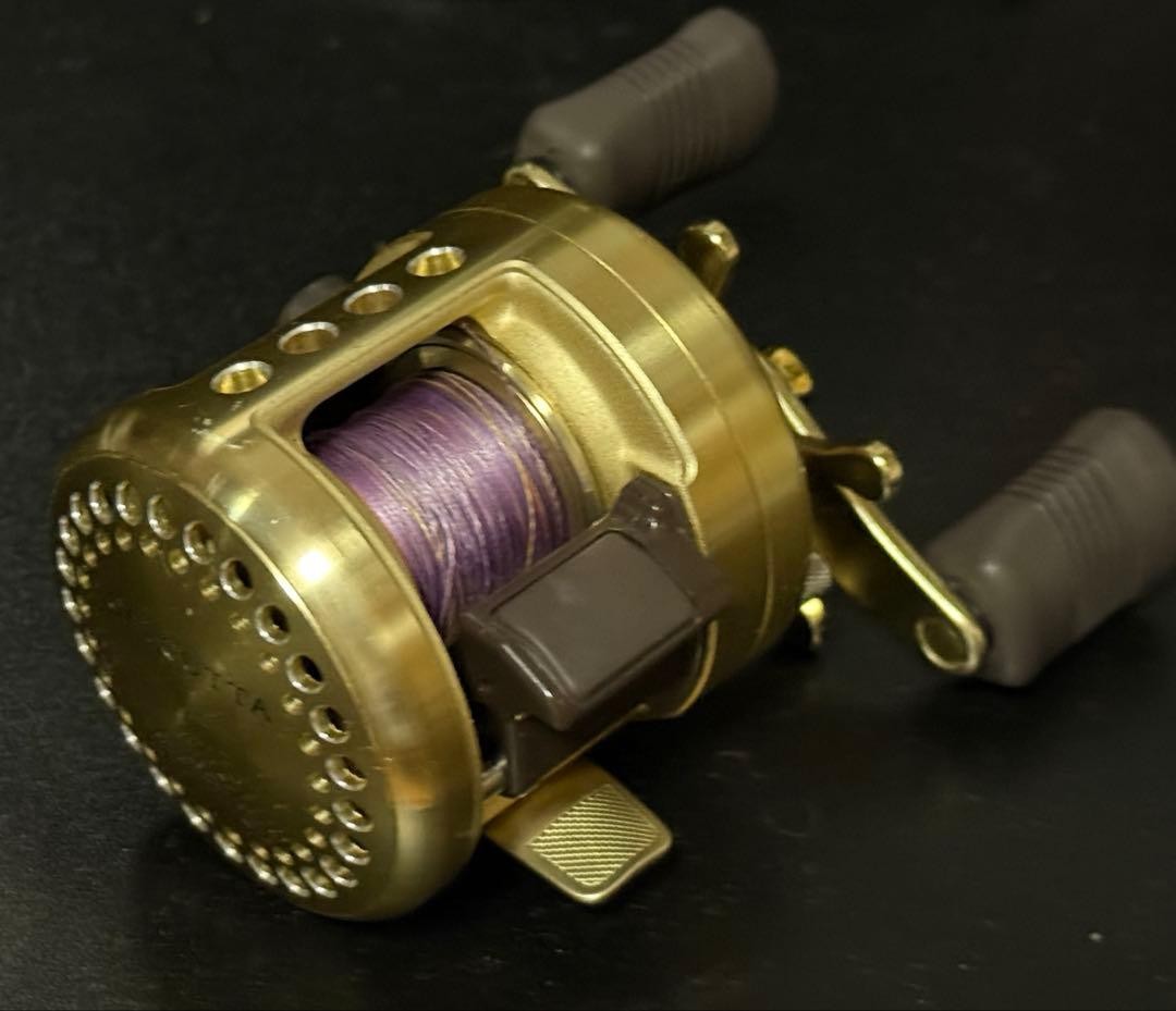 SHIMANO CALCUTTA 100XT Baitcasting Reel 5.8:1 Gear Ratio 230g