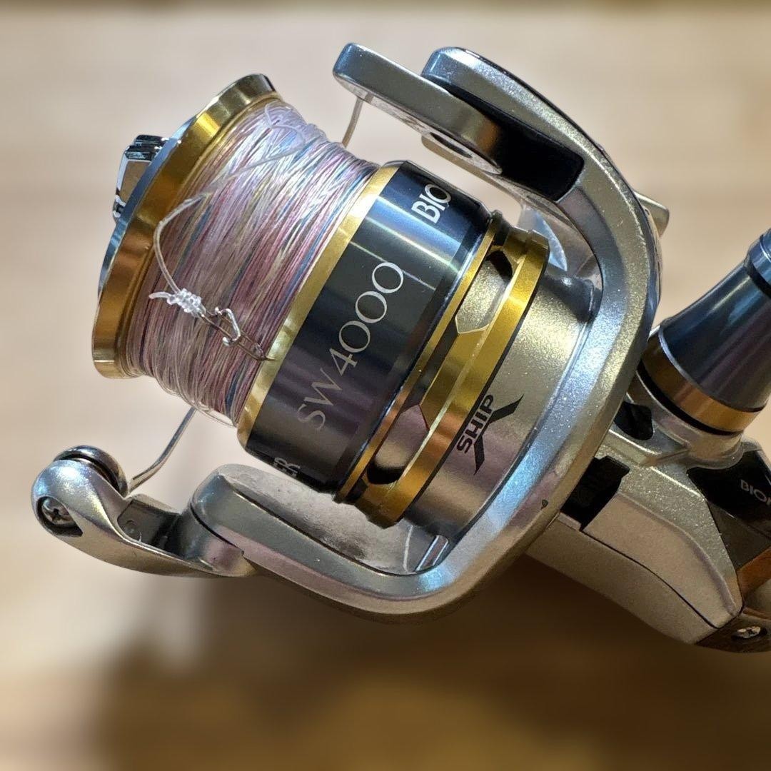 Shimano Biomaster SW 4000HG Spinning Fishing JDM Reel Saltwater