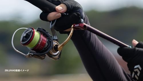 Daiwa SLP Works (Daiwa SLP WORKS) SLPW LT Type-α Spool Red 4000s