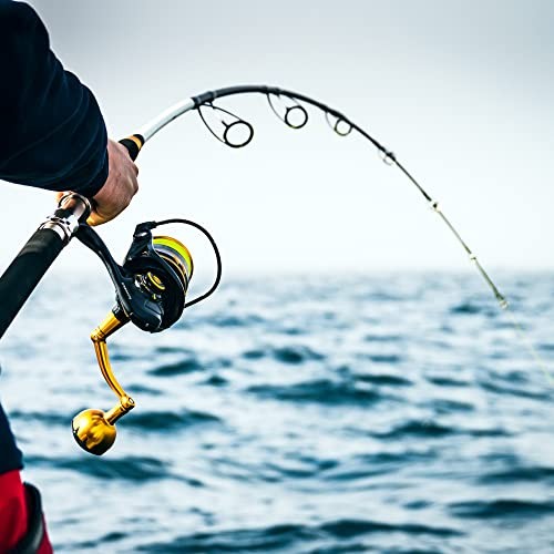 PENN SLAMMER IV, IPX6 Durable Spinning Reel for Offshore 7500 (PE5 No. 300 m)