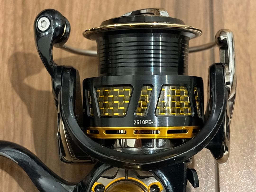 Daiwa Morethan 2510PE