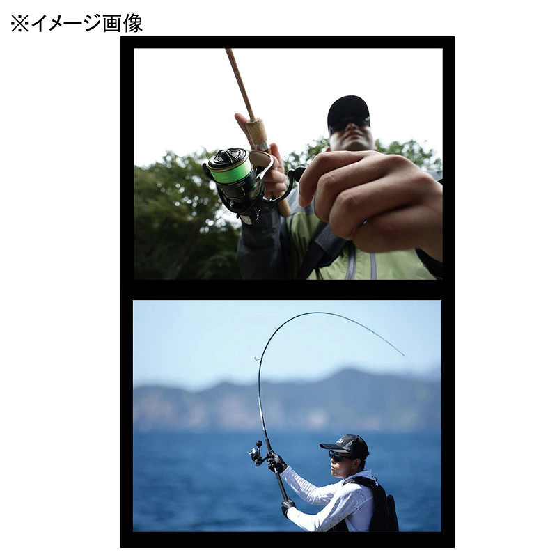 Japan Daiwa 26 Freams LT1000S-P 00067301