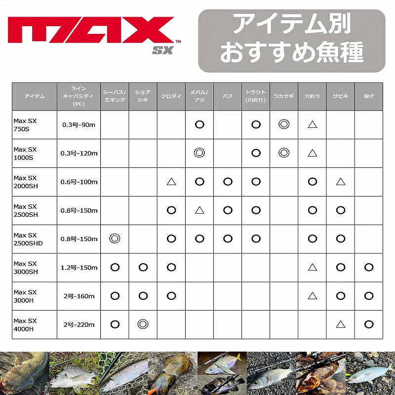 Japan Abu Garcia Max SX 4000H 1621909
