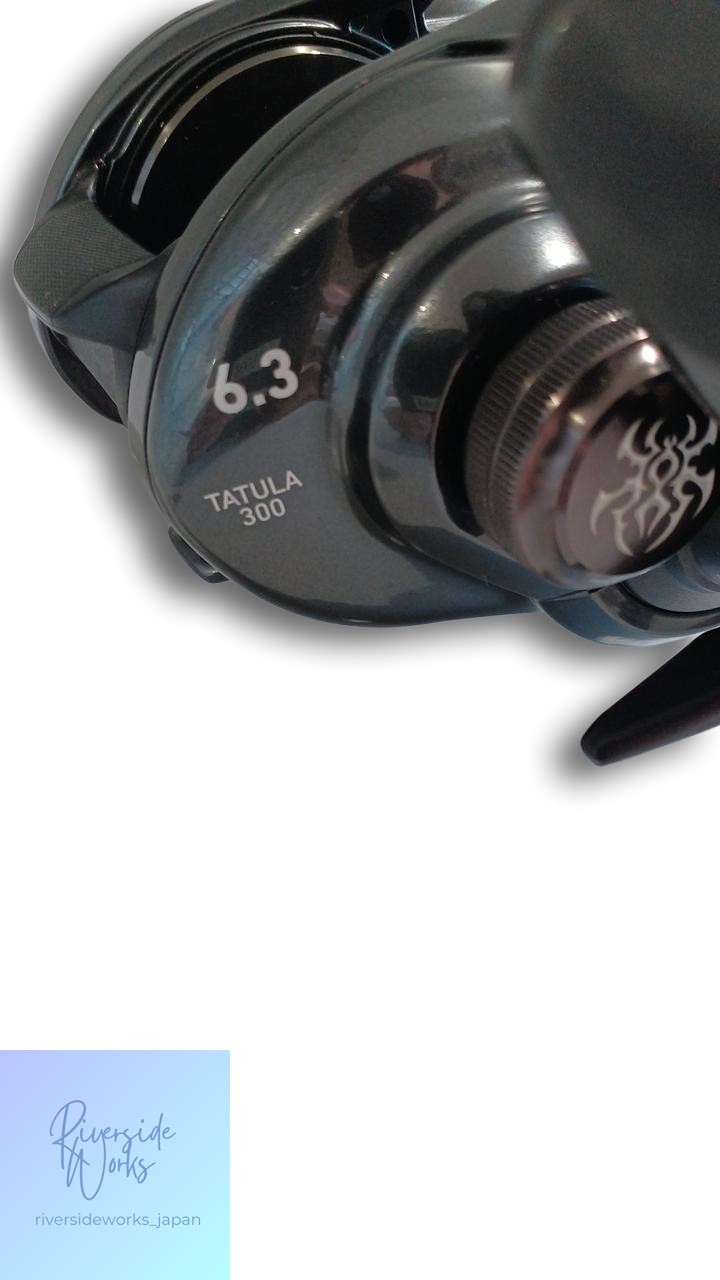 DAIWA 21TATULA TW 300 Baitcasting Reel High Precision