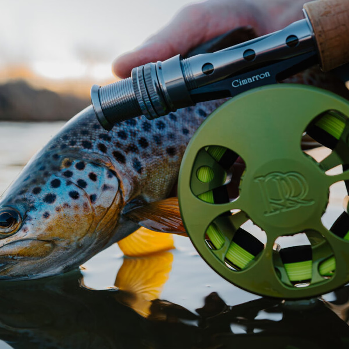 Ross Cimarron Creek Fly Reel