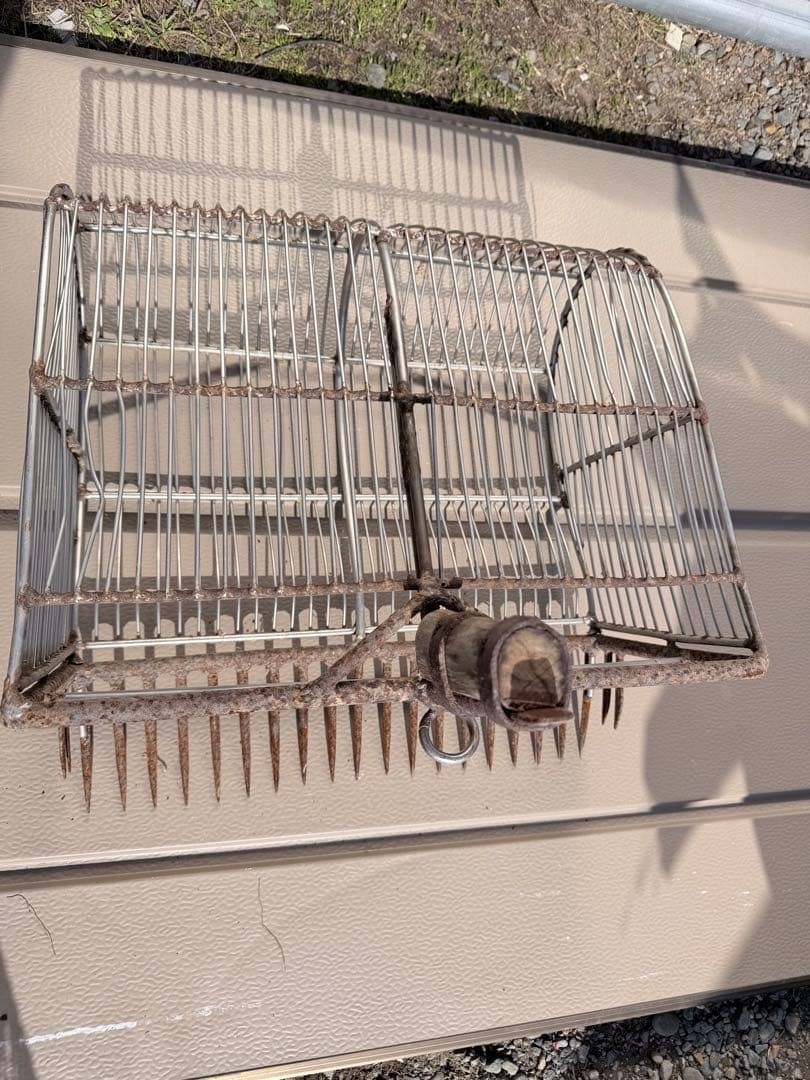 Shellfish rake, clam digging, basket only