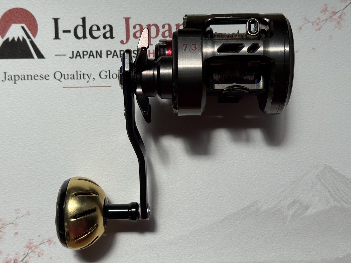 DAIWA Saltiga BJ 200SH 7.3 Right Hand Baitcasting Reel Japan Used