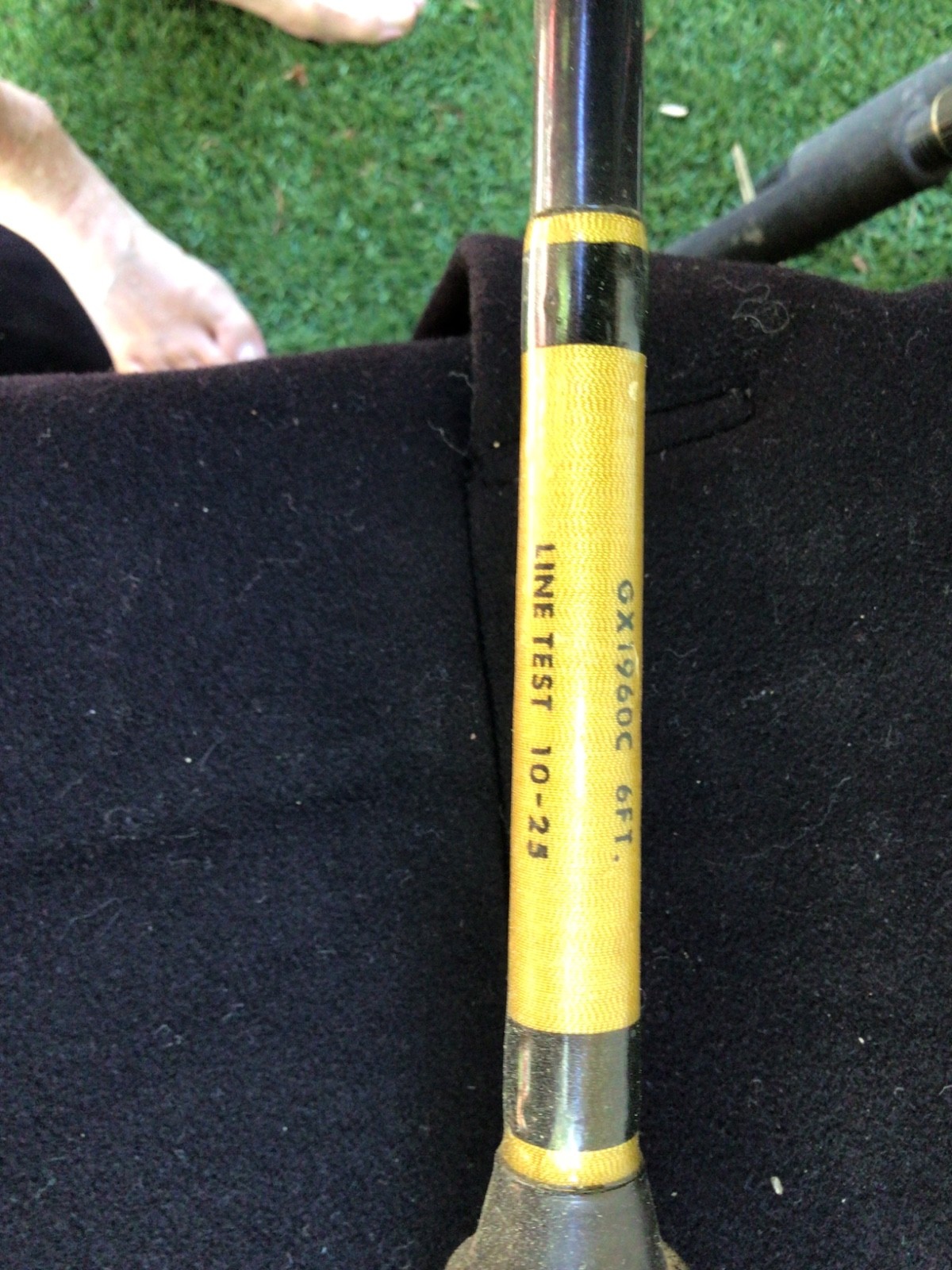 Eagle Claw GX1960C Fishing Pole