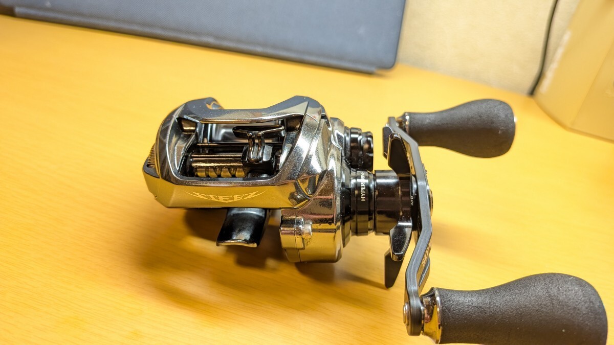 DAIWA Steez Limited SV TW 1000HL 710042