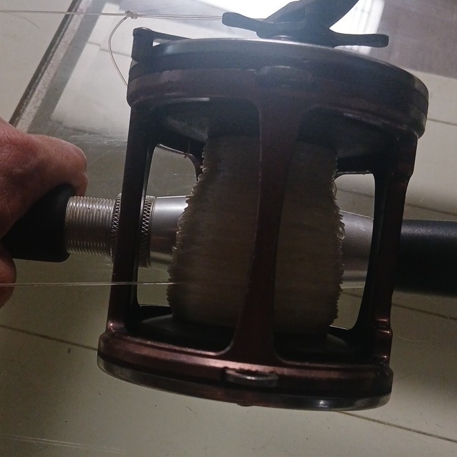 Penn Senator 114 HLW 6/0 Wide Fishing Reel ~ Crescent Frame/ Alum Spool