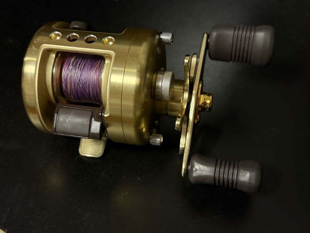 SHIMANO CALCUTTA 100XT Baitcasting Reel 5.8:1 Gear Ratio 230g