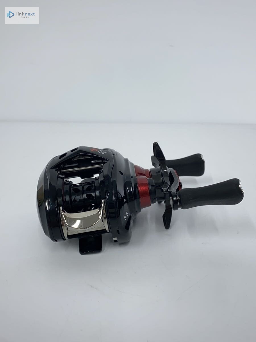 DAIWA Gekkabijin 21 ARI TW 8.5L Baitcasting Reel