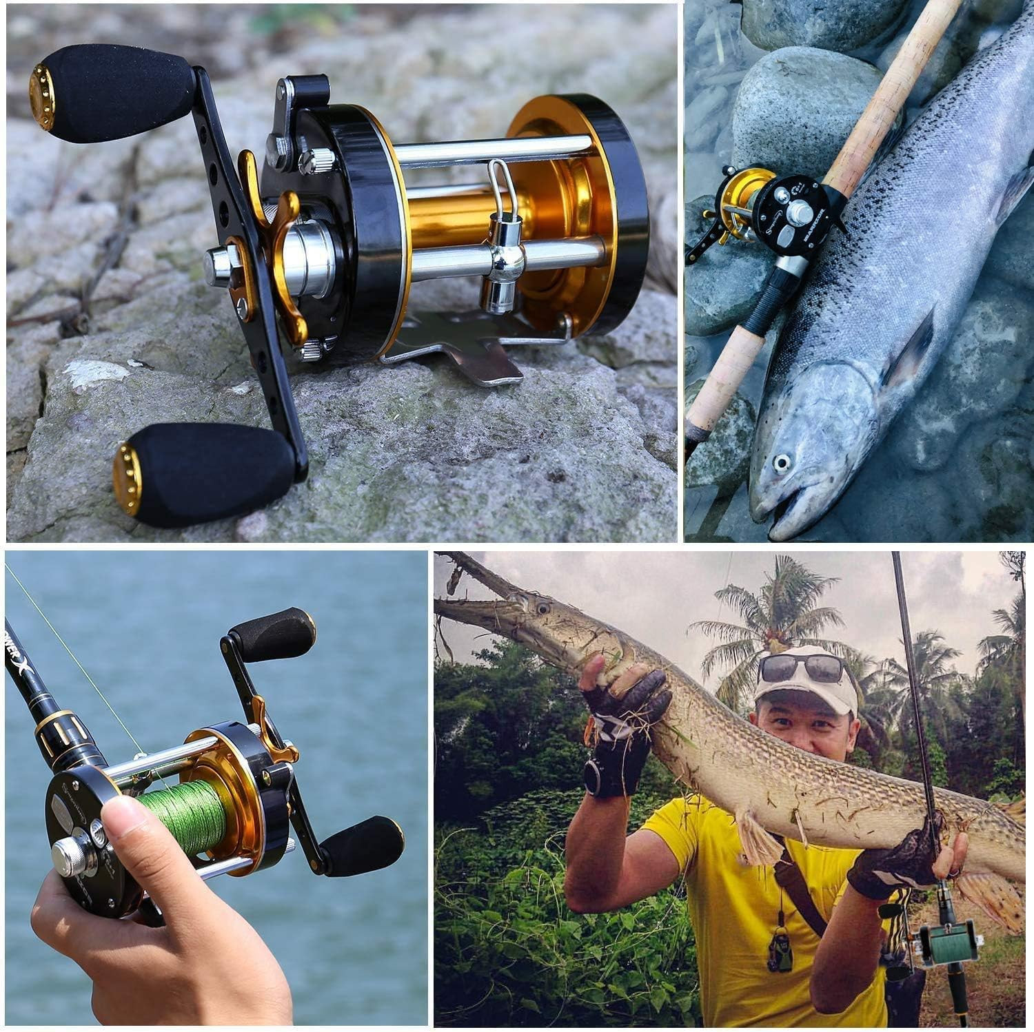 Round Baitcasting Fishing Reel Catfish Trolling Metal Body 6+1BB Drag