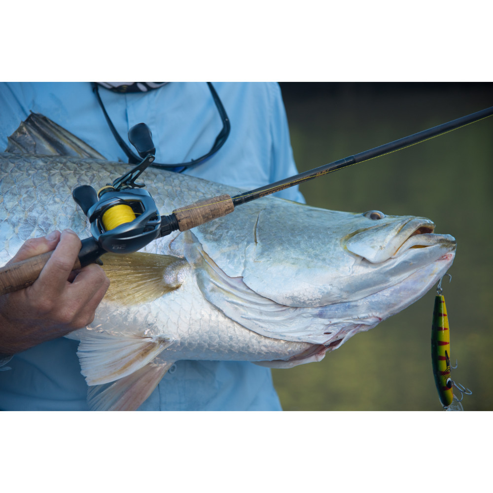 Shimano Curado M Baitcast Fishing Reel Sizes 200 to 201