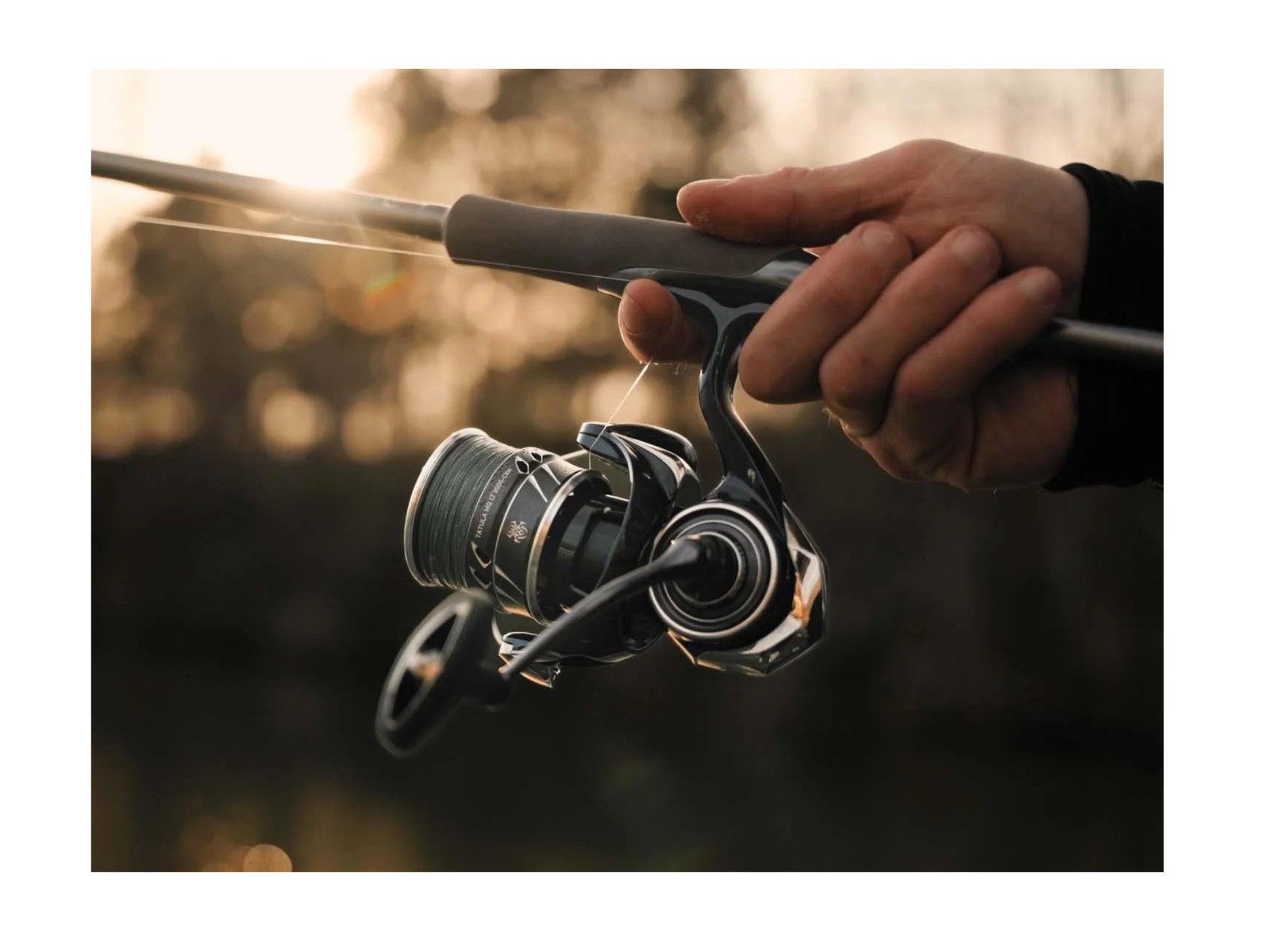 Daiwa Tatula MQ LT Spinning Reel, Reel Sizes:3000D-CXH