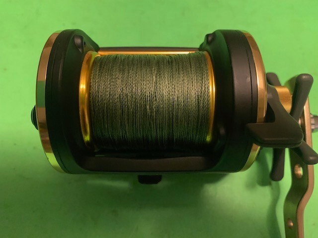 DAIWA SEALINE SPEED SHAFT X 30 SHA CONVENTIONAL CASTING FISHING REEL WITH BRAID