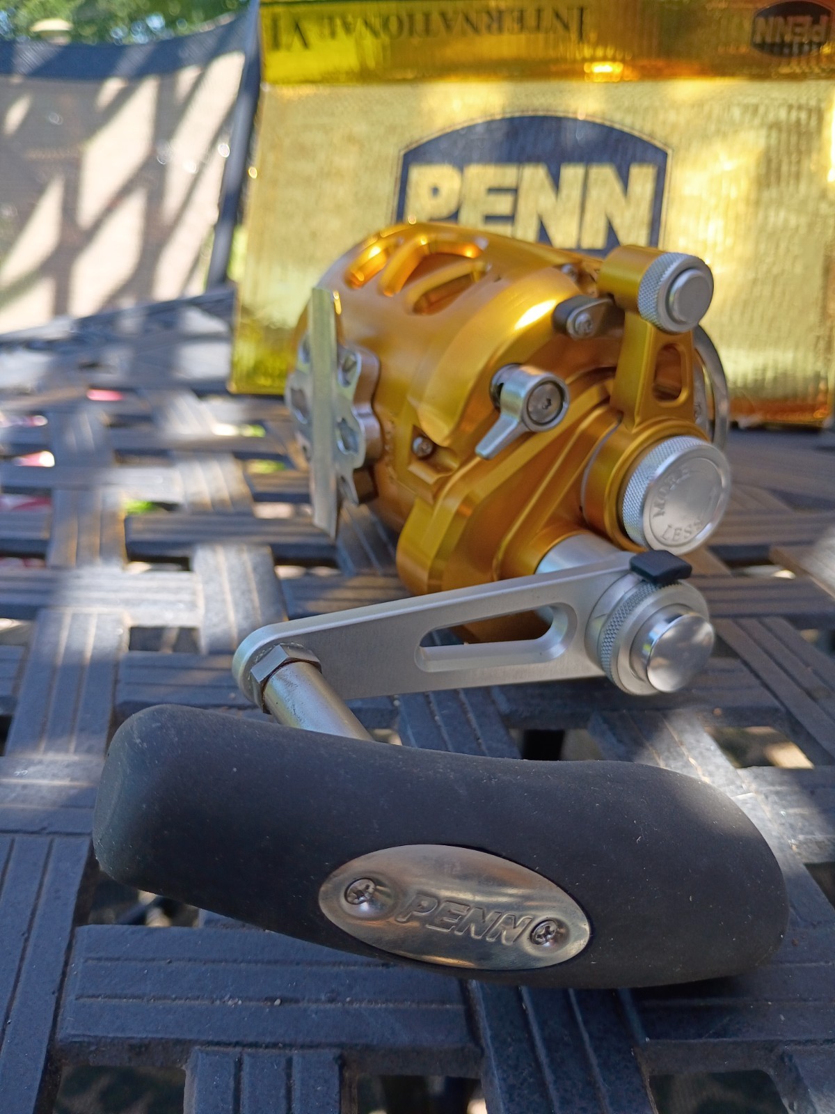 PENN International 30VISX Gold