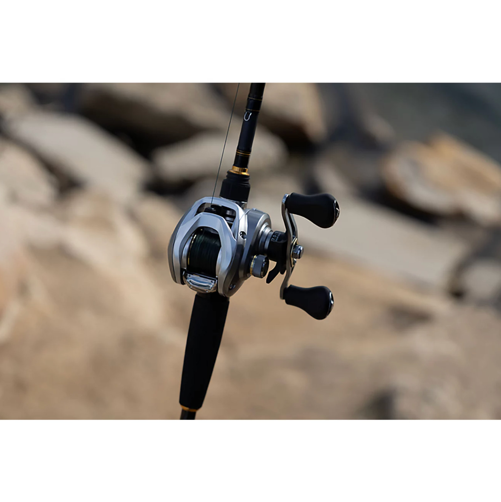 Daiwa AIRD Baitcast Reel Clam – NEW