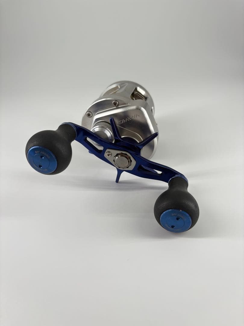 Daiwa Ryoga BJ C1012PE HW Baitcast Fishing JDM Reel Right Handle