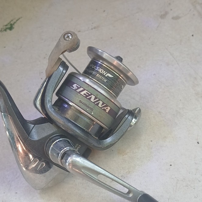 Shimano Sienna 2500FD Spinning Reel 5.0:1 Front Drag 4BB Aluminum Spool