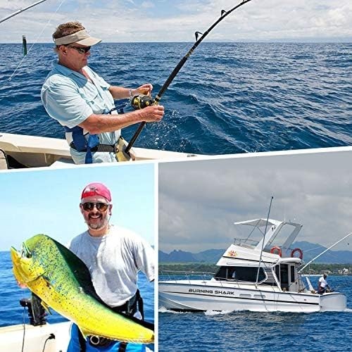 Trolling Reel Saltwater Level Wind Reels, Drag Reels Boat Fishing Ocean Fishing