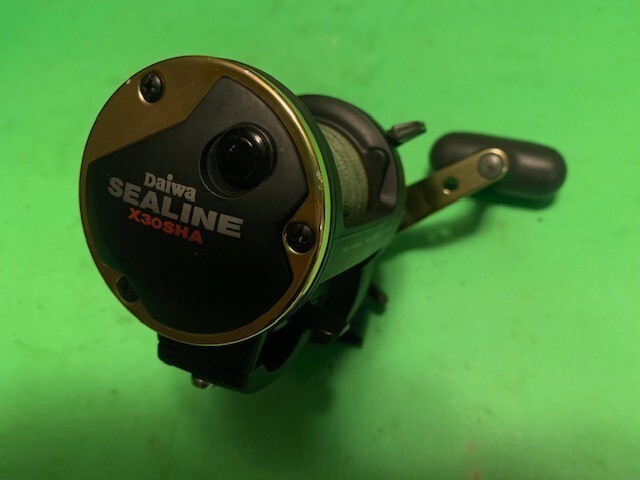DAIWA SEALINE SPEED SHAFT X 30 SHA CONVENTIONAL CASTING FISHING REEL WITH BRAID