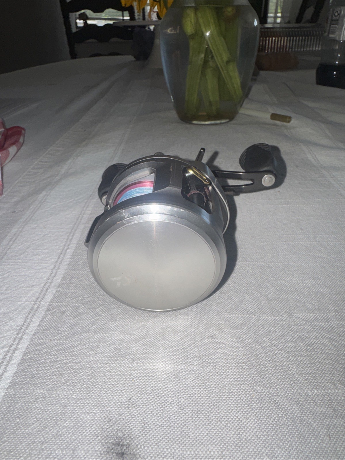 Diawa Catalina Bj100l