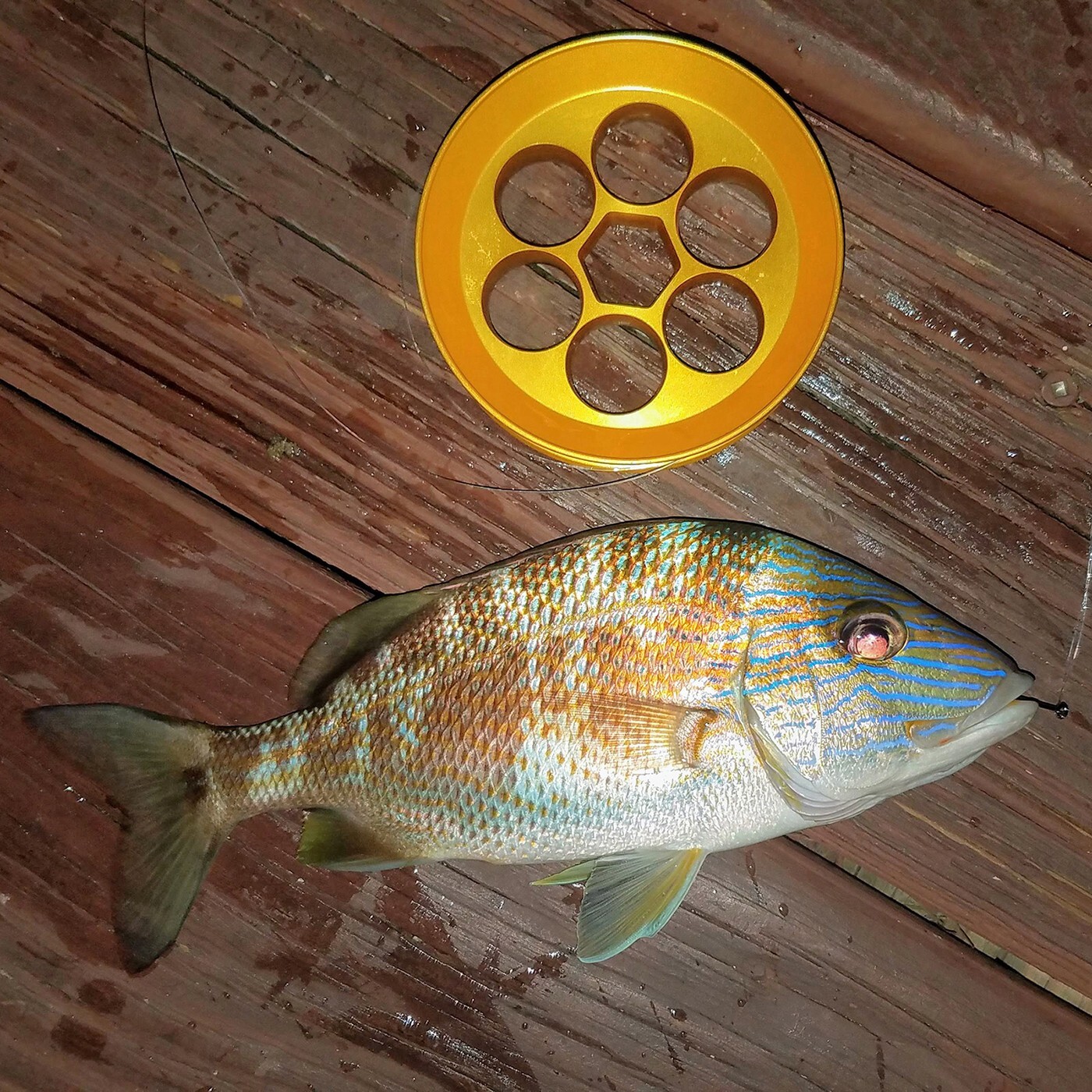 Yoyito Aluminum Hand Line Fishing Reel – Pocket Travel Reel