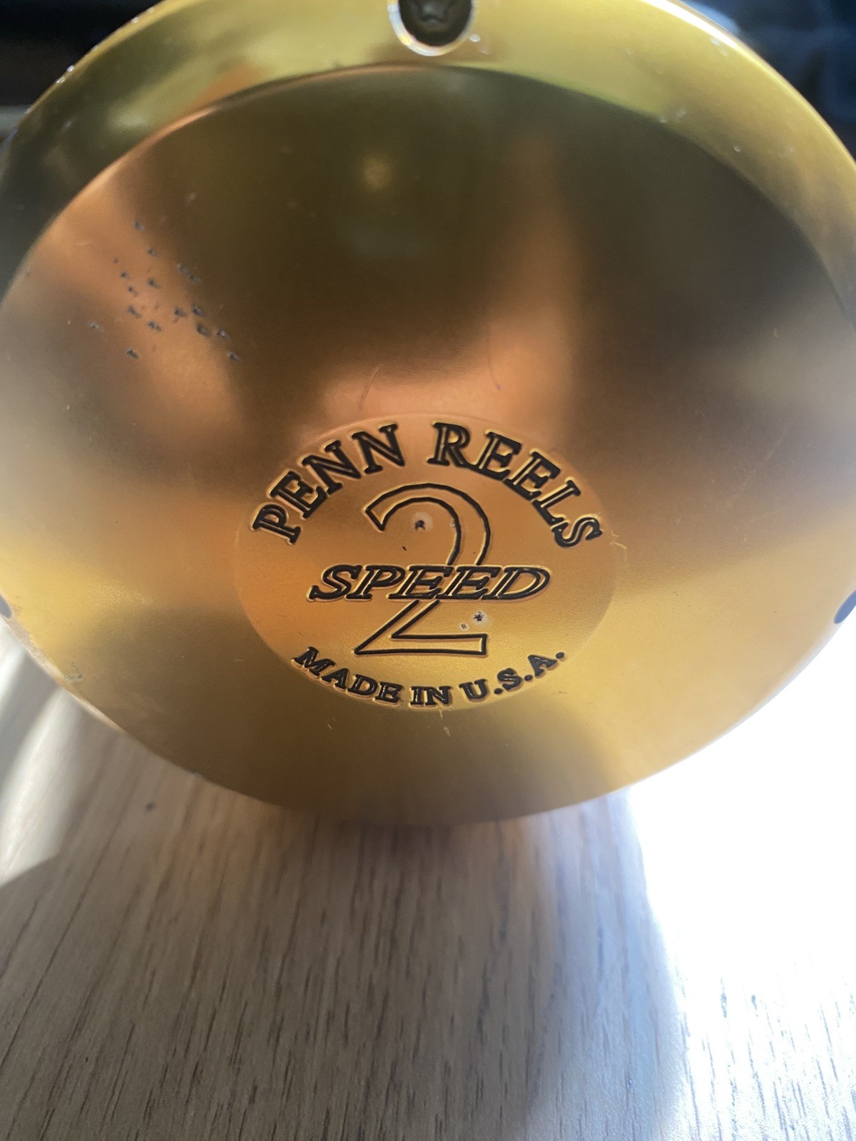 Penn International 30vsw Fishing Reel Two Speed