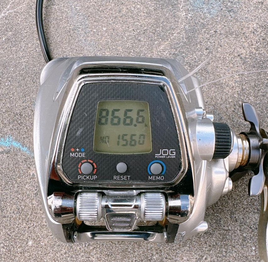 Daiwa Seaborg 500J