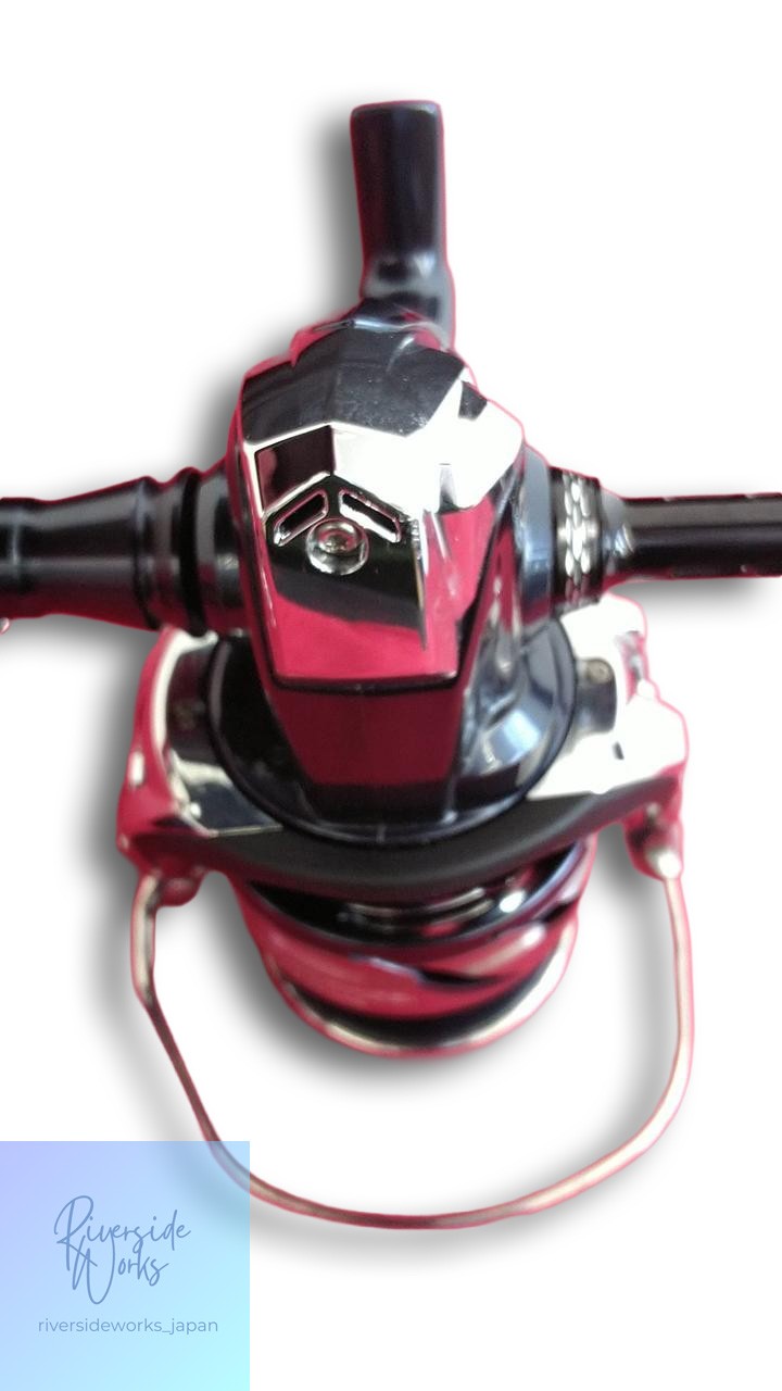 SHIMANO 21 TWIN POWER SW6000HG-C Spinning Reel Saltwater Fishing